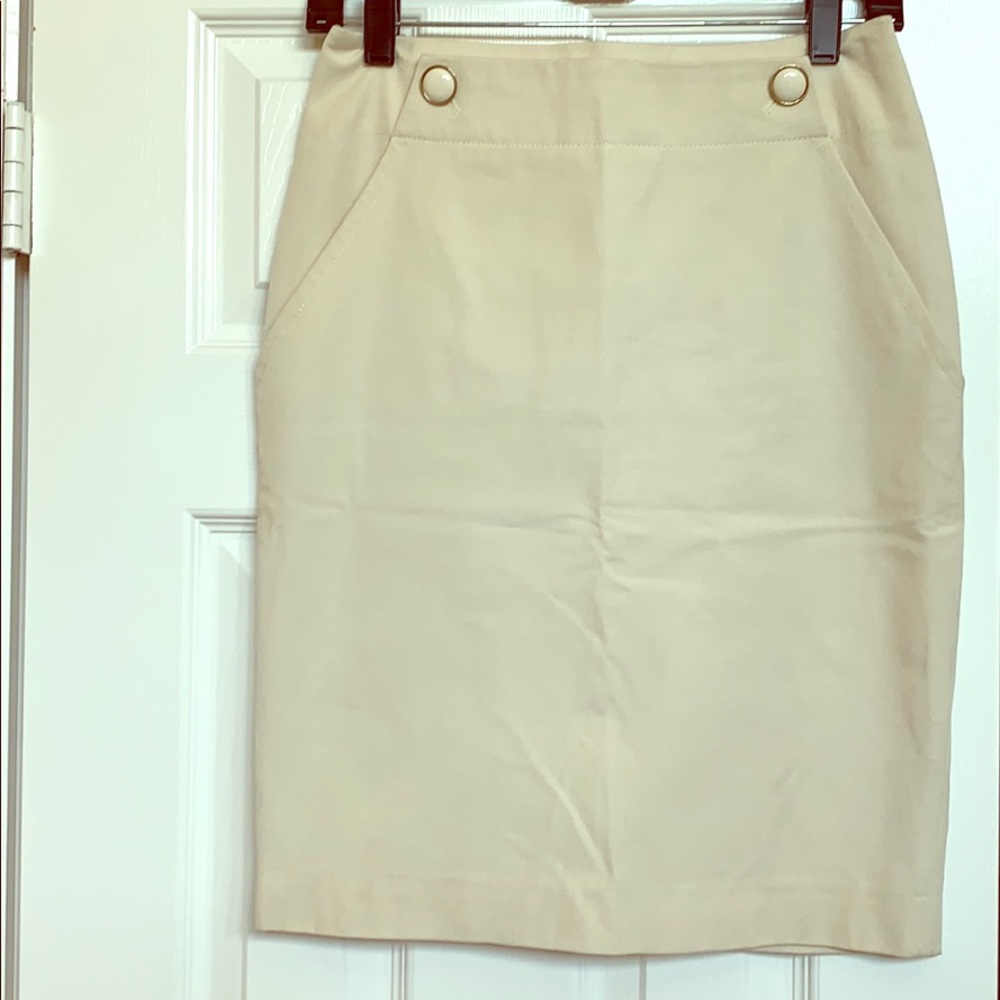 Banana Republic Skirt